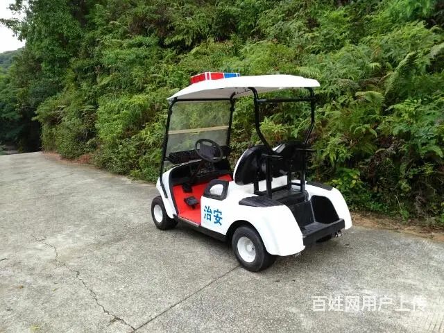 大量巡逻车，电动观光车出售 - 图片 8