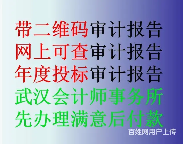 武汉本土二维码备案审计报告，先办理后付款 - 图片 1