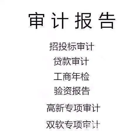 广州花都办理审计报告工商年检验资报告 - 图片