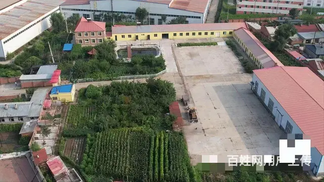 阿城区舍利街厂房别墅出售 - 图片 2