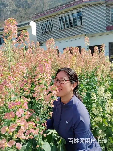 征婚 - 图片 3