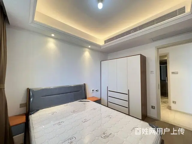 楚河汉街4号线武汉站东湖金茂府 精致大三室两卫 - 图片 8