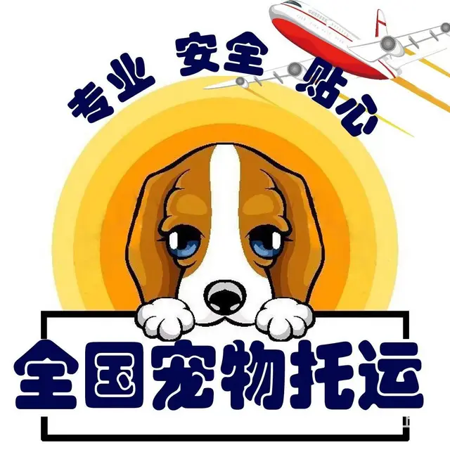 嘉兴海宁周边宠物托运（猫狗活体快递）陆运 空运至全国 - 图片 3