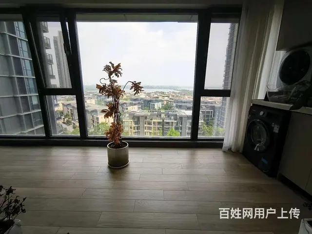 店长重点推荐！华侨城原岸好房出租，居住舒适，干净整 - 图片 6