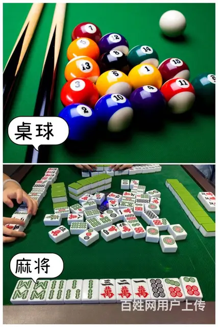广州帽峰山生态园，解锁超燃一日团建新玩法 - 图片 4