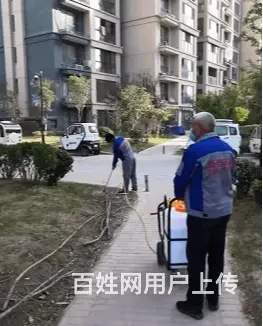 商丘灭蟑螂电话商丘绿佳环保 - 图片 2