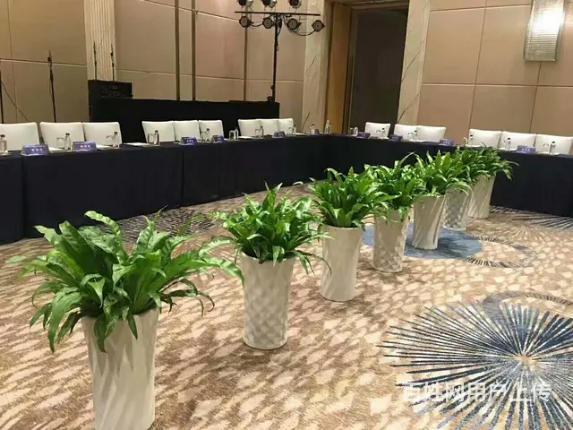 厦门绿植租赁、绿化工程、绿植养护、办公室绿植 - 图片 2