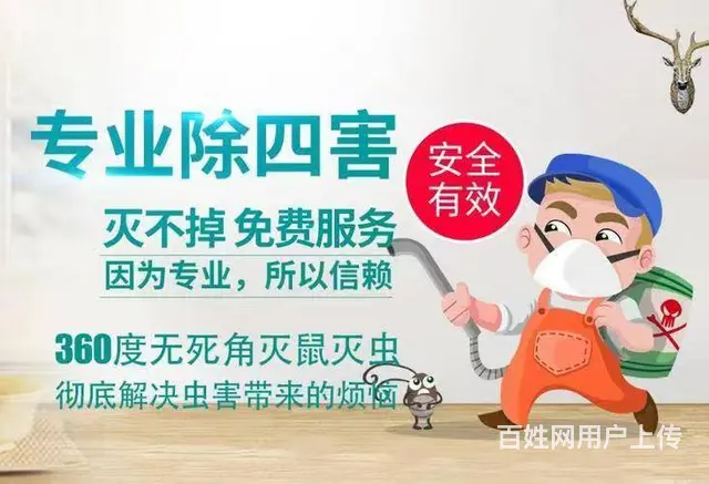 专业四害消杀除蟑螂除蚂蚁除老鼠除百虫 根除干净 - 图片 6