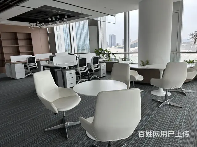 四川区域协同发展(遂宁)总部基地 - 图片 7
