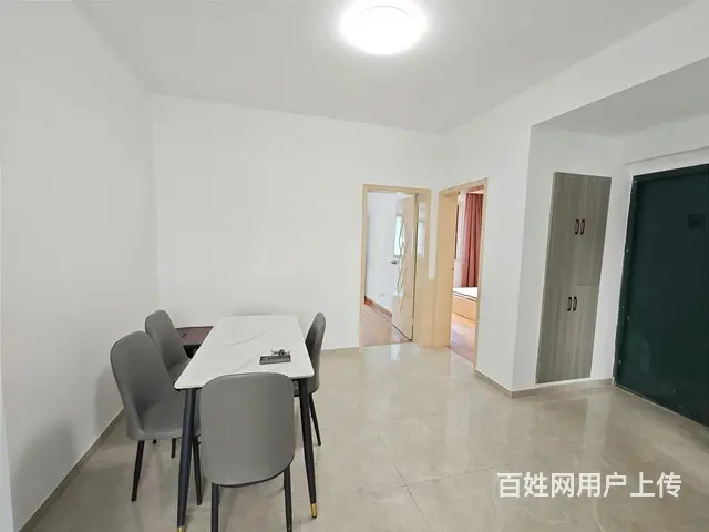 独立车库 劳动路95号 精装两室朝南 彩虹新村 胥江龙湖天街 - 图片 4