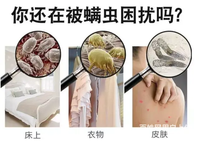 广州江南西除螨公司，清洁螨虫服务，上门清洗床垫除螨 - 图片 4