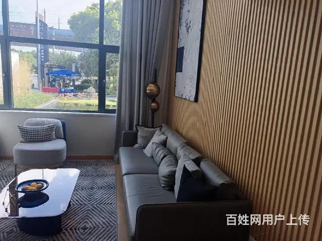 常州外国语旁芝荟时光挑高5.1米朝南两房民用水电带独立阳台 - 图片 3