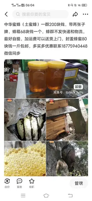 蜂群，蜂蜜 - 图片 1