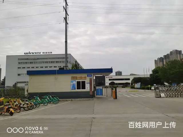 出租温江科技园6500平厂房库房 可分租 - 图片 9