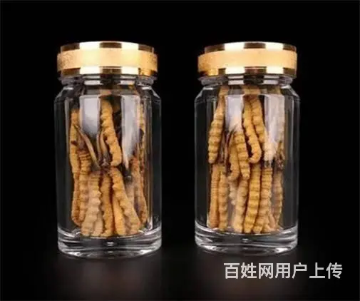 花都回收冬虫夏草店铺-花都发霉虫草专业回收 - 图片 1