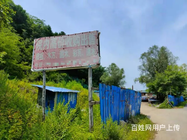 高湾新区本溪木方木门劈柴各种木制品 - 图片 2