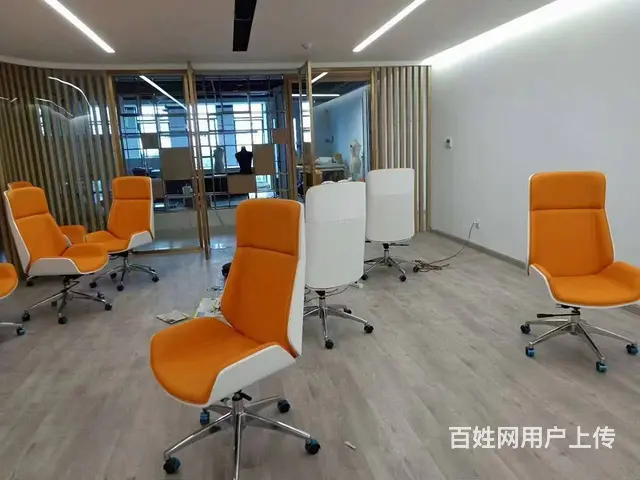 全新  椅、工作椅、职员椅、主管椅、会议椅、会客椅 - 图片 7