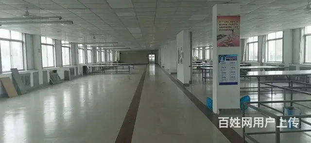 九龙城南厂房仓库出租 - 图片 9
