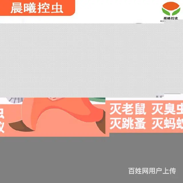 肥城市饭店除虫晨曦控虫的推荐 - 图片 2