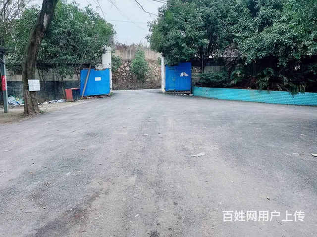 （老板本人）雨花区红星冷链附近独门独院厂房/仓库出租6095 - 图片 6