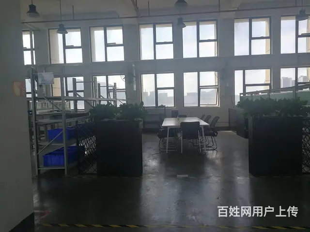 南屏屏西路独门、独院厂房 - 图片 7