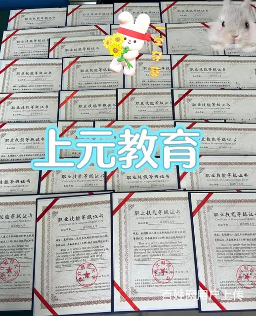 嘉兴人力资源管理师培训 人力资源报考条件 - 图片