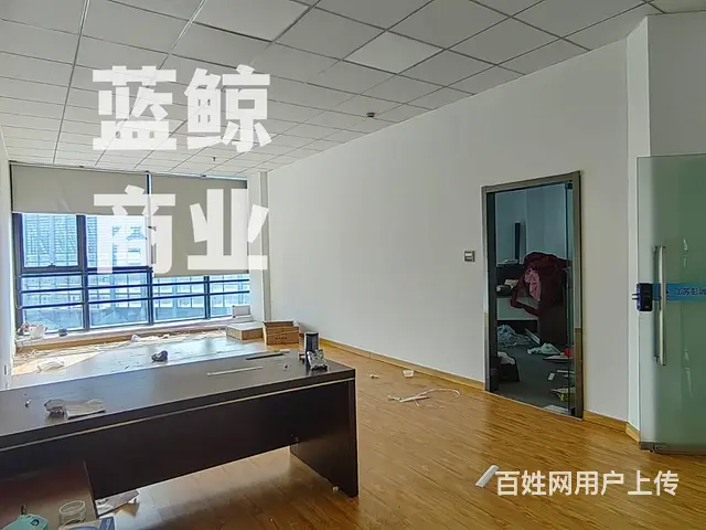 绿地商务城蓝海1450平整层纯办公现房写字楼出售 - 图片 5