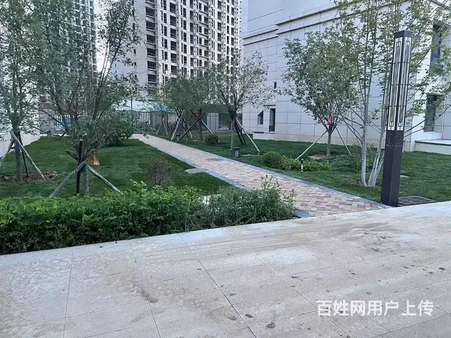 辽宁沈阳草坪种植季节价格啊卖吉林小区绿化内蒙古绿化 - 图片 9