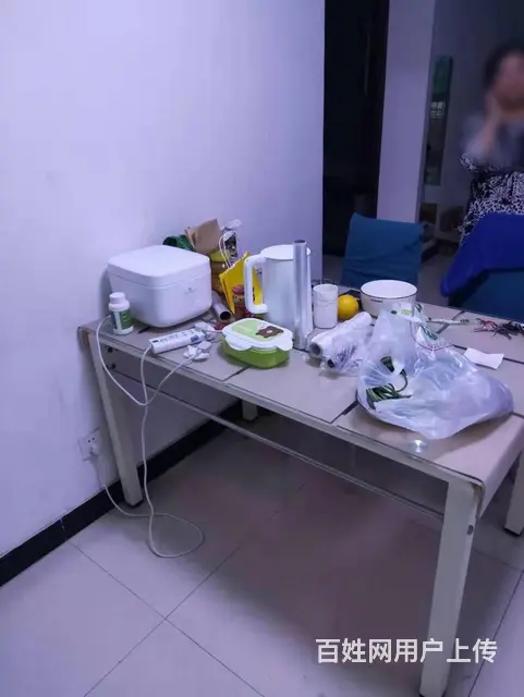 东方宜家花园精装修，干净卫生，配套齐全，拎包即住 - 图片 6