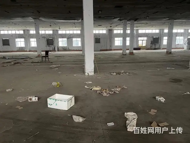 淄川区罗村镇厂房出租 - 图片 1