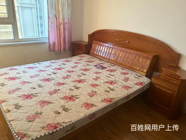 拒绝宠物，非诚勿扰。 - 图片 4