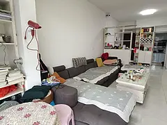 邦泰国际社区两室一厅一卫