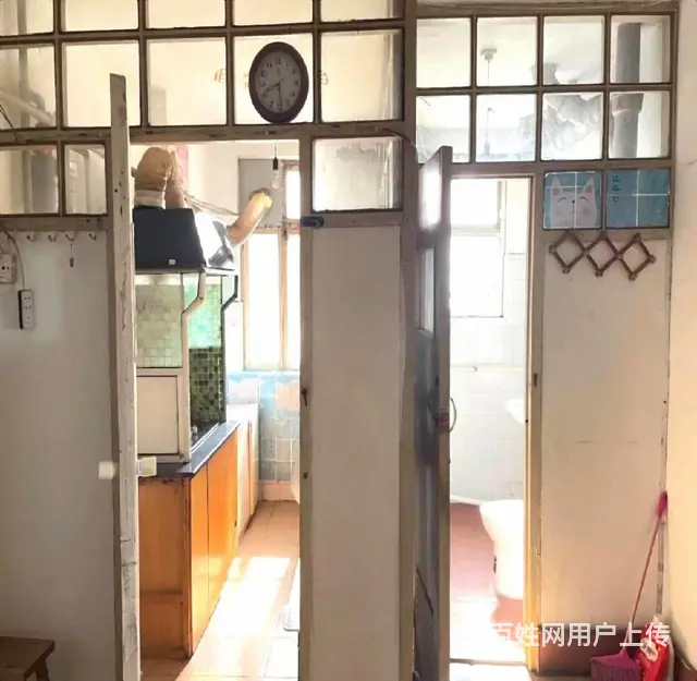 朝阳街日报社口腔医院附近 双南卧室4楼 配套全 - 图片 6