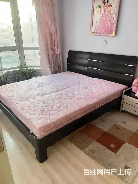北大街大凌河边龙溪家园精装修一室一厅 - 图片 1