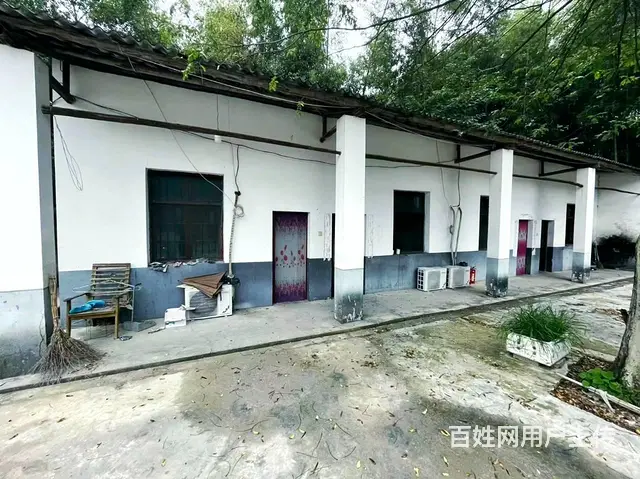 （老板本人）望城区独门独院厂房/仓库房东直租  6030 - 图片 6