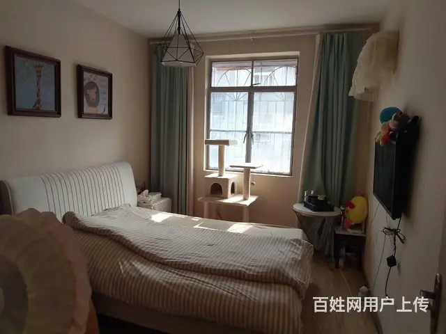 舜耕二区 普通住宅 精装修 - 图片 6