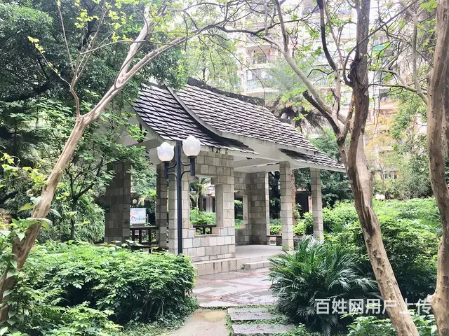 白天鹅花园 2房精装 看不清至强大脑 不过她任你发 - 图片 11