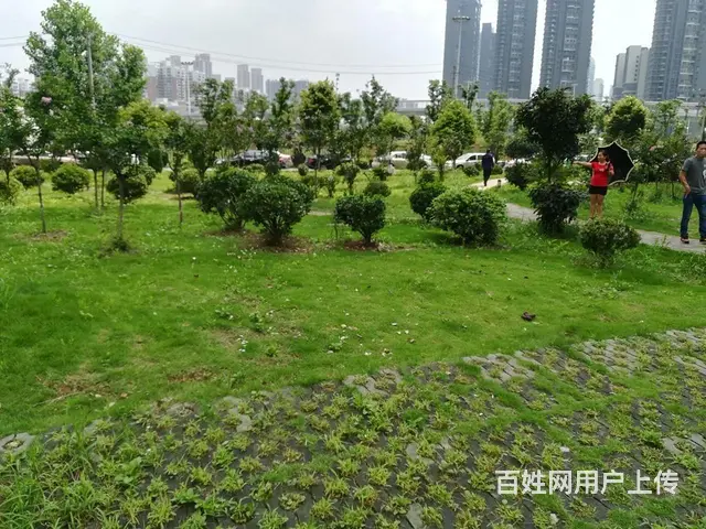正铁机路口近岳家嘴 东亭 梨园医院 正堂时代 山河 - 图片 12
