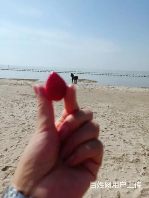 征婚：92年未婚女，身高162做财务，喜欢旅游 - 图片