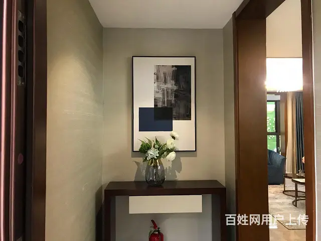 特批楼层随选！城东国健长江院子奥康街江海城市广场 全中边 - 图片 4