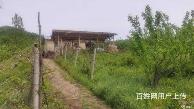 阿城红星水库沙滩浴场房屋采摘园出租 - 图片 1
