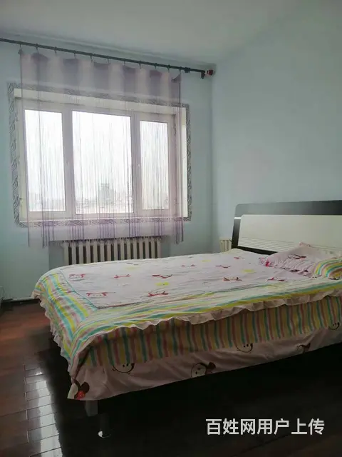 单间出租；大世界附近；振鹤小区 普通住宅1厅 精装修 - 图片 3