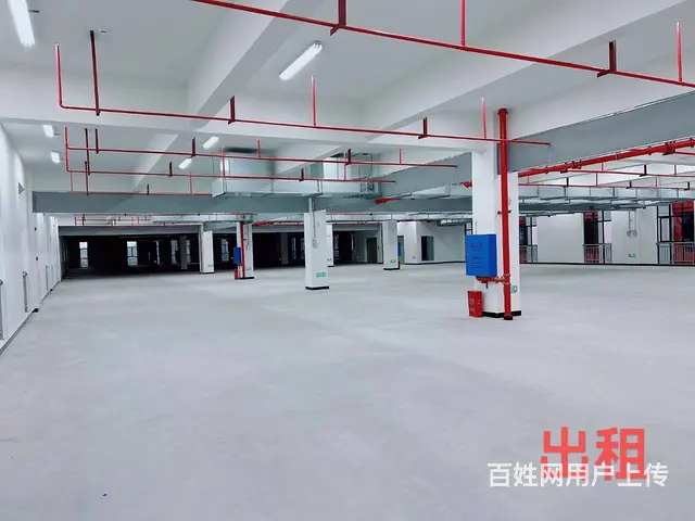 （老板本人）高新区全新标准厂房仓库招租  5849 - 图片 7