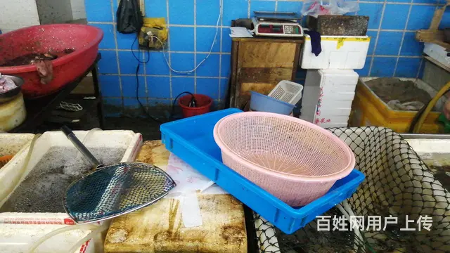 潞城中心菜场鱼摊转让 - 图片 2