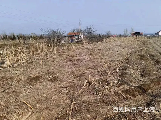 出租福山门楼两甲庄村土地，交通便利，水电齐全，可进大车 - 图片 2