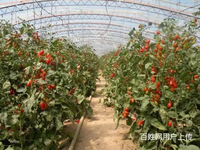 澳门长期招聘导购员理货员 - 图片 9