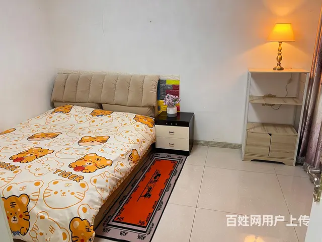 精装住宅公寓出租 - 图片 1