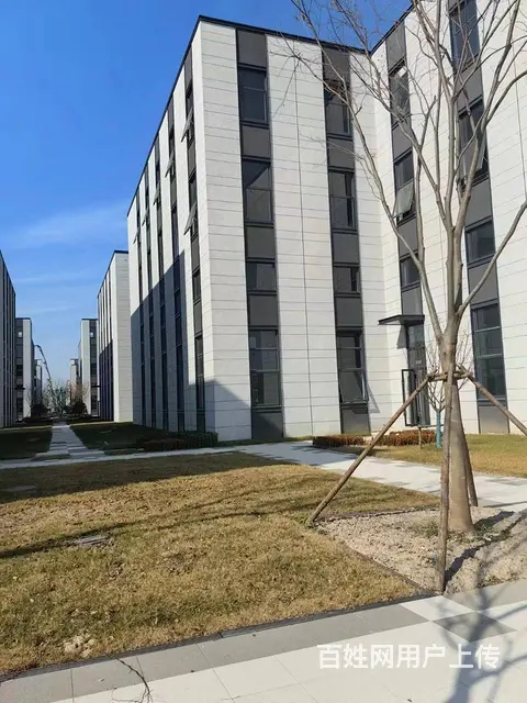 厂房现房出售，8-11米柱距，层高8米，送露台 - 图片 1