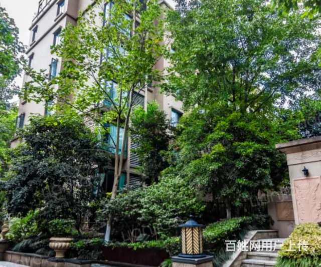 高档小区原自住小木屋首次出租 - 图片 1