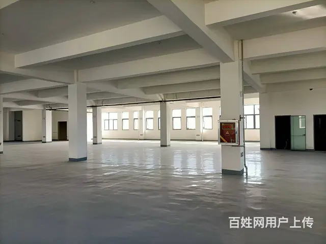 （圆点快讯）睢宁宁江工业园全新厂房出租 - 图片 11